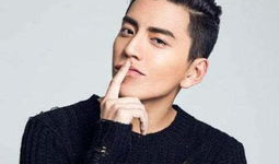 吃瓜爆料王大陆租酒店,揭秘明星隐私与公众好奇心的边界